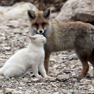 Meet your Posher, Becky